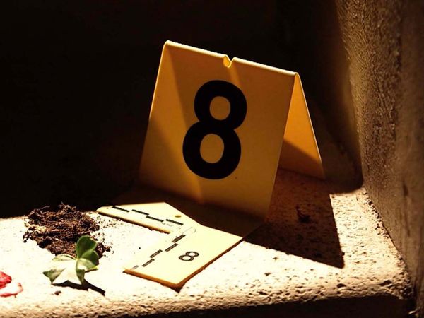 Unsolved Murders - The Ideal Culprit