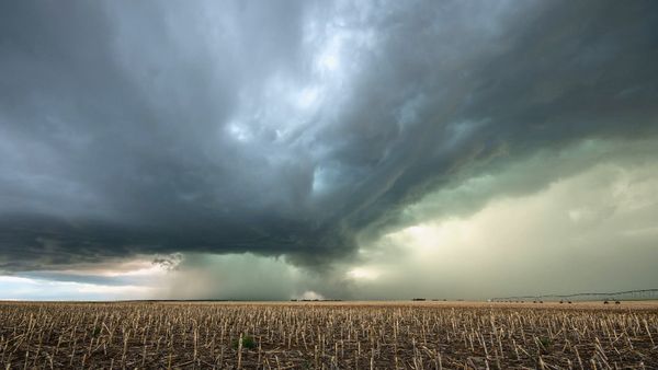 Storm of Suspicion - A Twisted Tale
