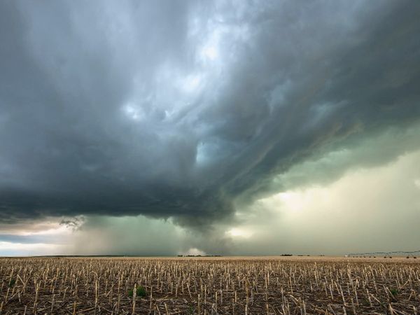Storm of Suspicion - A Twisted Tale