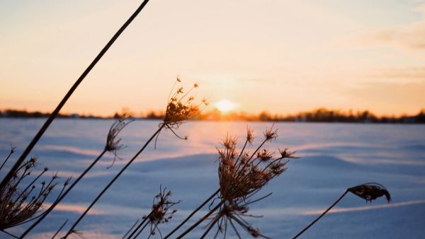 Storm of Suspicion - Snowpack Stabbing