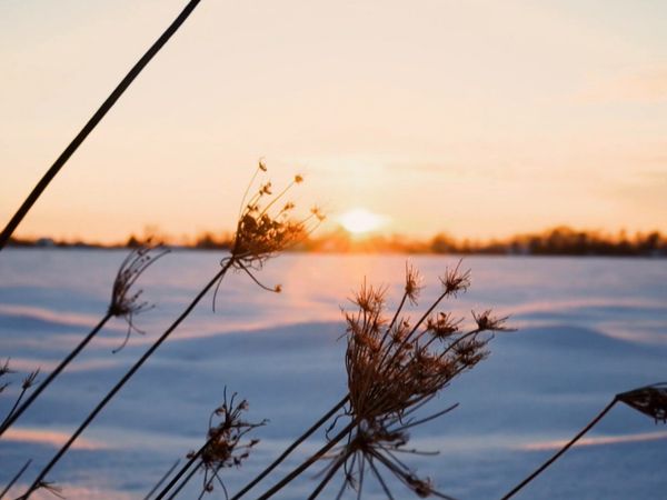 Storm of Suspicion - Snowpack Stabbing