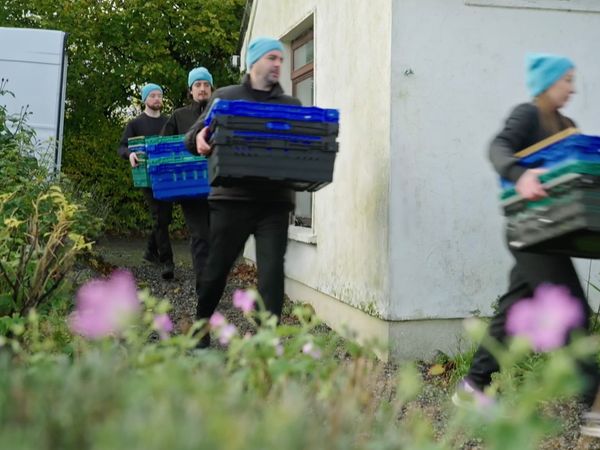Home Rescue - Tullamore
