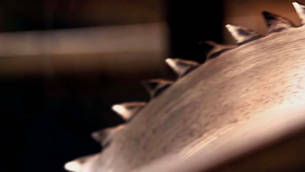 Unsolved Murders - Mystery of the Disembered Woman