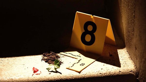 Unsolved Murders - The Ideal Culprit
