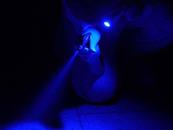 Unsolved Murders - The Disappearance of a Mother