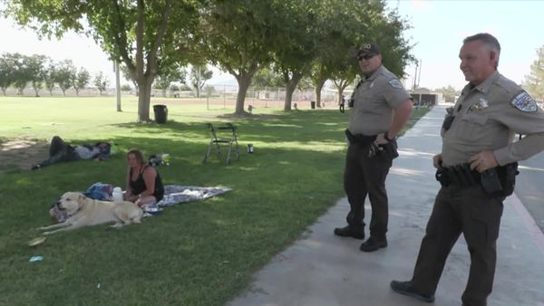 On Patrol: Live - From Stop to Rescue