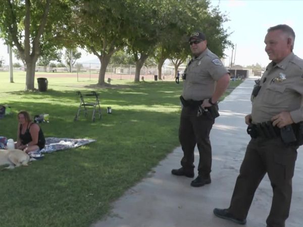 On Patrol: Live - From Stop to Rescue
