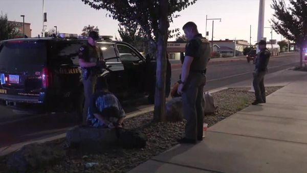 On Patrol: Live - Dangerous Stop