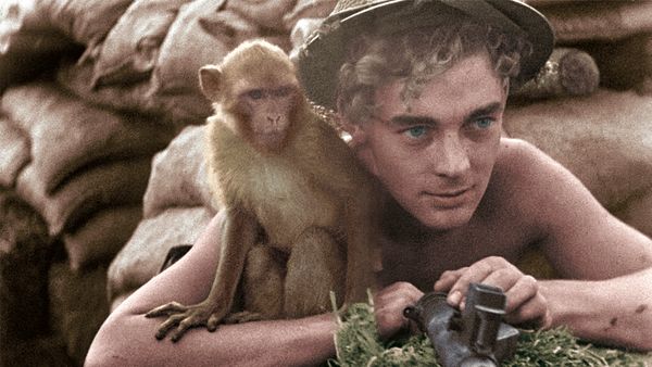 Animali Al Fronte - Episodio 1