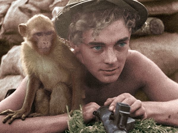 Animali Al Fronte - Episodio 1