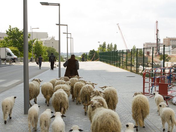 Naturapolis
Il Sogno Verde Di Parigi - Naturapolis
Il Sogno Verde Di Parigi