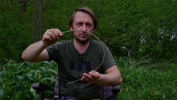 Abgehakt! - Was ist die Aktion?