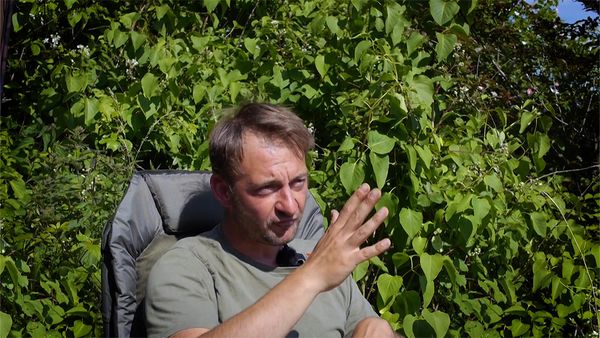 Abgehakt! - Warum rollen Karpfen?