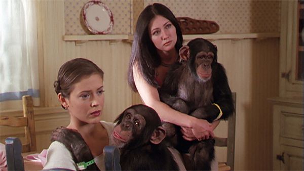 Charmed: Jovens Bruxas - Macaco Astral