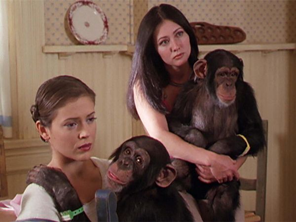 Charmed: Jovens Bruxas - Macaco Astral