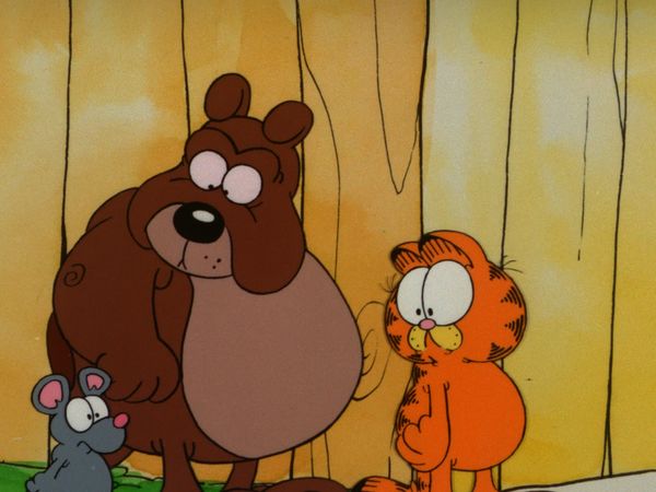 Garfield and Friends - Identity Crisis/U.S. Acres: The Bad Sport/Up a Tree