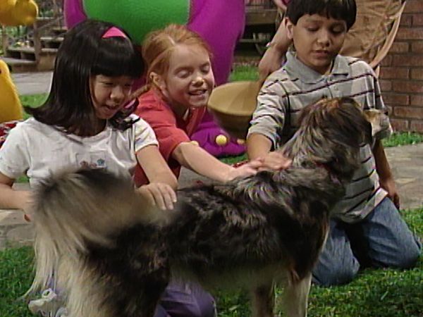 Barney & Friends - Puppy Love