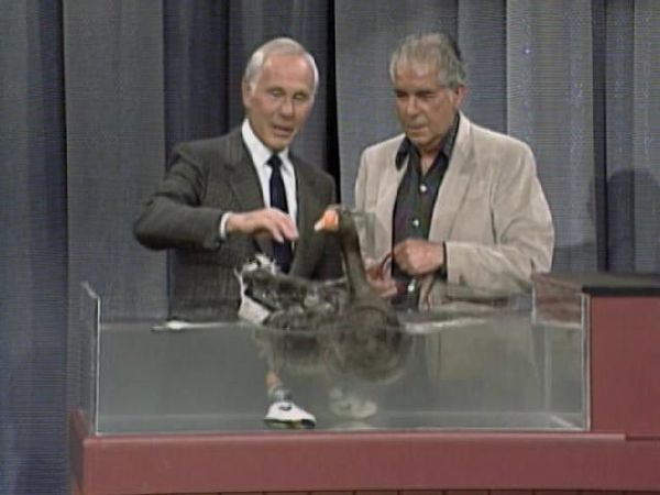Johnny Carson - The Johnny Carson Show: Hollywood Icons Of The '80s - Isabella Roselini (2/1/89)