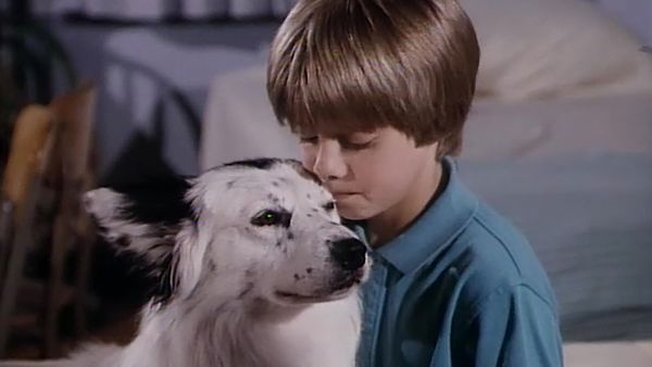 Highway to Heaven - Le Meilleur Ami de l'homme (2e partie)