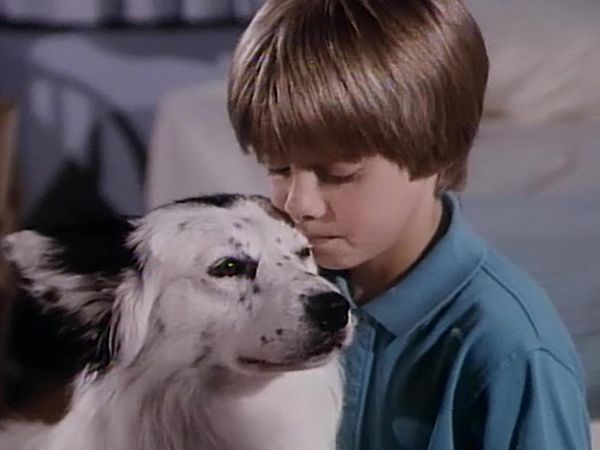 Highway to Heaven - Le Meilleur Ami de l'homme (2e partie)