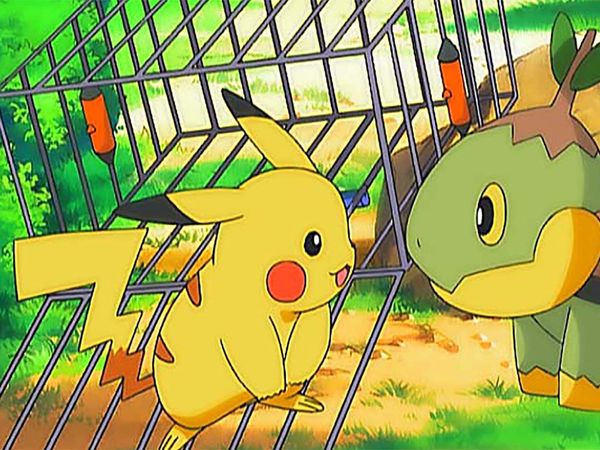 Pokémon the Series - Gettin' Twiggy With It!