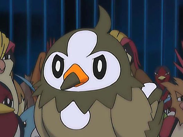 Pokémon the Series - A Staravia Is Born!