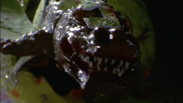 Ultraman Taro - The Complete Series - Pickle the Monster in Salt!