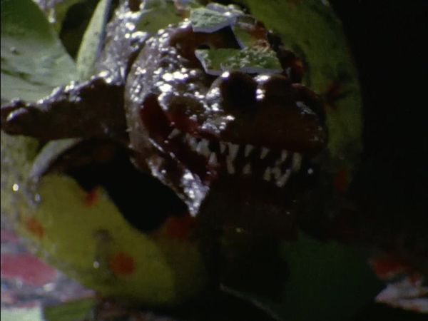 Ultraman Taro - The Complete Series - Pickle the Monster in Salt!