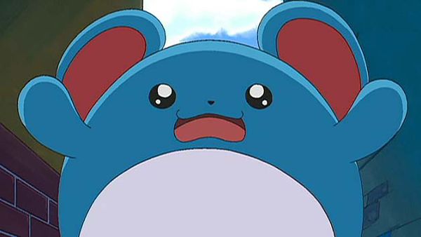 Pokémon the Series - An Egg Scramble!