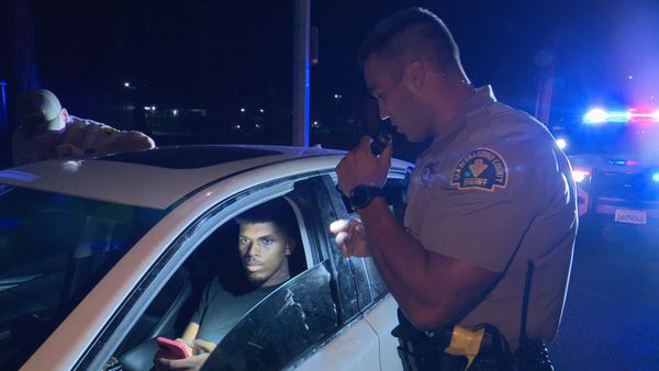COPS - Picture Perfect