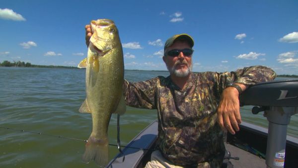 Lindner's Angling Edge - The Food Factor