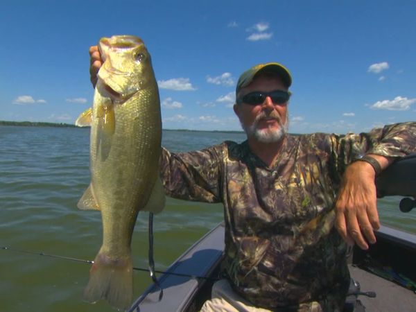 Lindner's Angling Edge - The Food Factor
