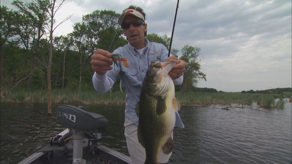 Lindner's Angling Edge - The Jig