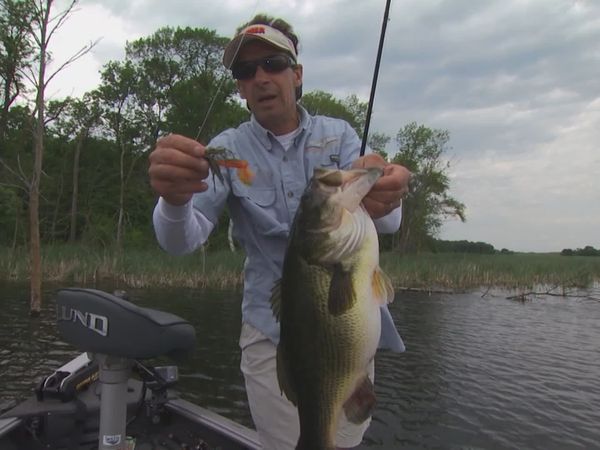 Lindner's Angling Edge - The Jig