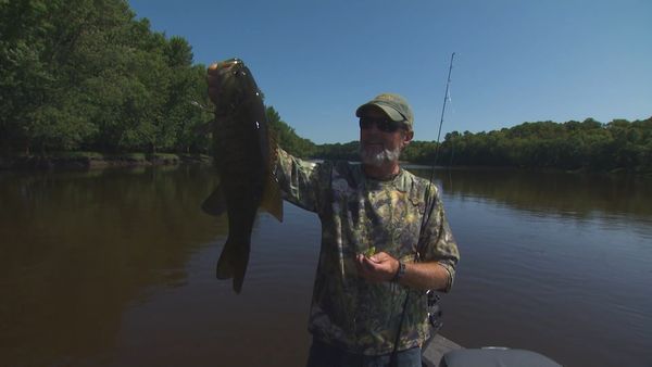 Lindner's Angling Edge - Peak Periods