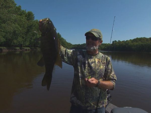 Lindner's Angling Edge - Peak Periods