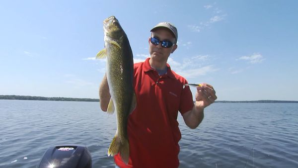 Lindner's Angling Edge - Understanding Fishes' Nature