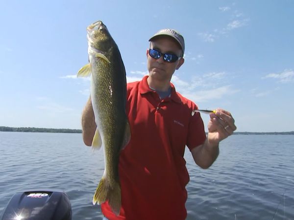 Lindner's Angling Edge - Understanding Fishes' Nature