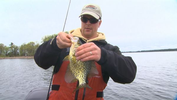 Lindner's Angling Edge - Seasonal Moves