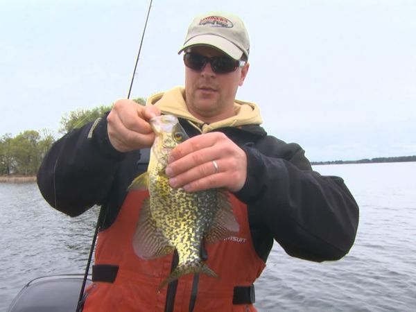 Lindner's Angling Edge - Seasonal Moves