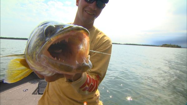 Lindner's Angling Edge - Angling Extremes