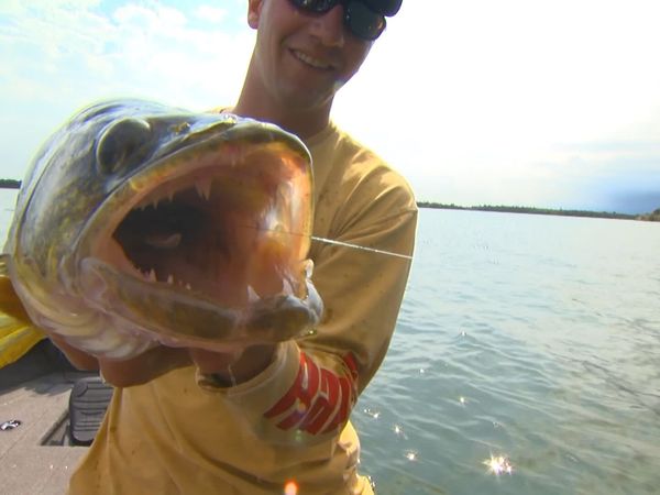 Lindner's Angling Edge - Angling Extremes