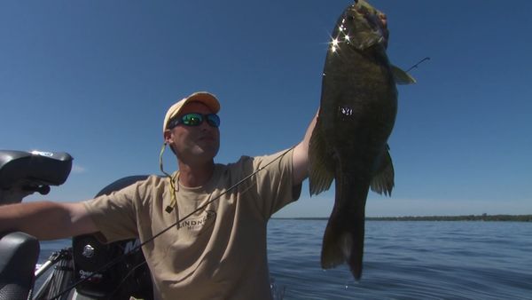 Lindner's Angling Edge - Soft Bait Magic