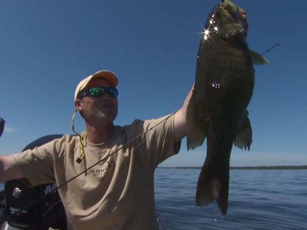 Lindner's Angling Edge - Soft Bait Magic