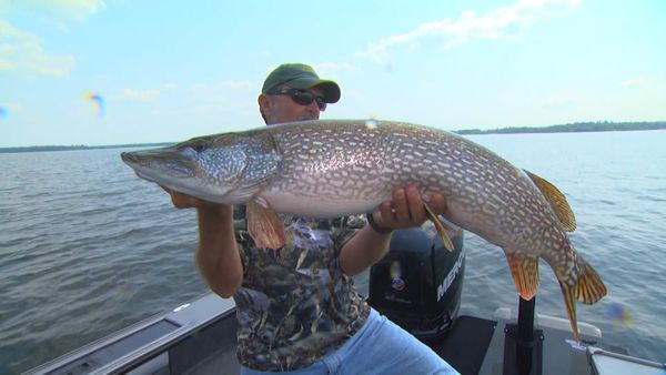 Lindner's Angling Edge - Snap Rapping