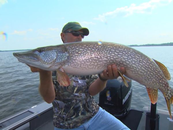 Lindner's Angling Edge - Snap Rapping