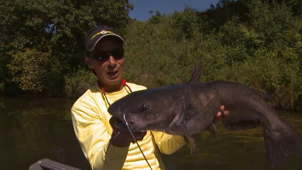 Lindner's Angling Edge - Moving Water