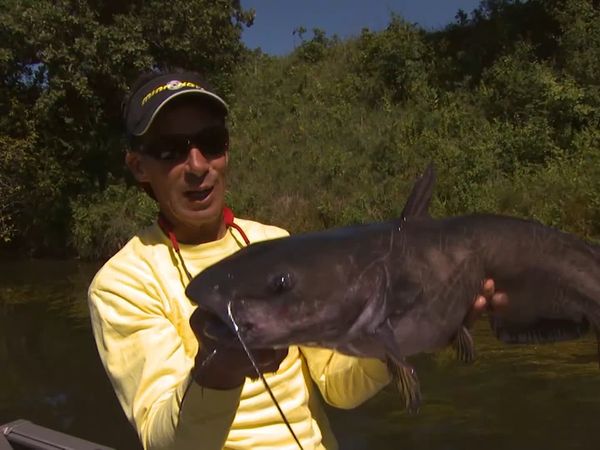Lindner's Angling Edge - Moving Water