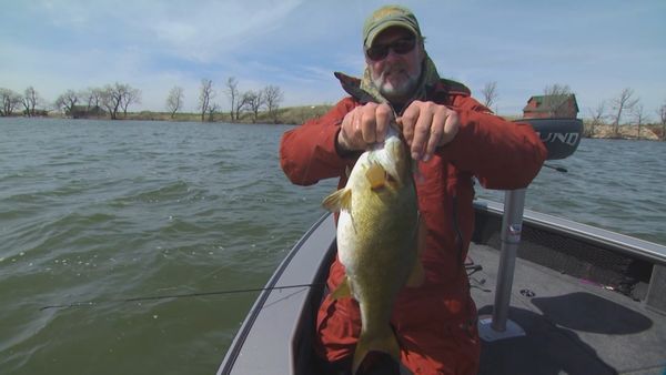 Lindner's Angling Edge - Old is New