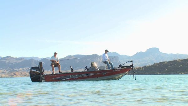 Lindner's Angling Edge - Finesse Smallies